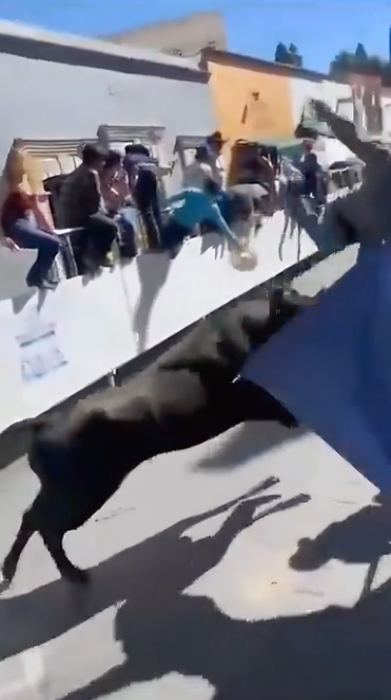 Captan el momento en el que toro embiste a niño