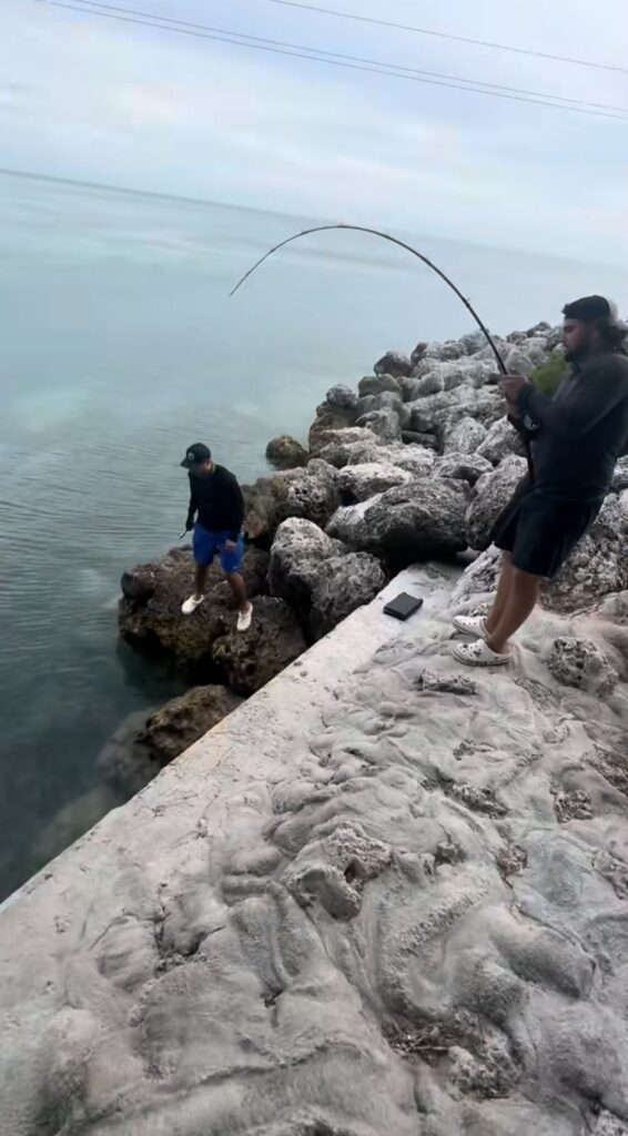 Hombres intentan pescar a tiburón