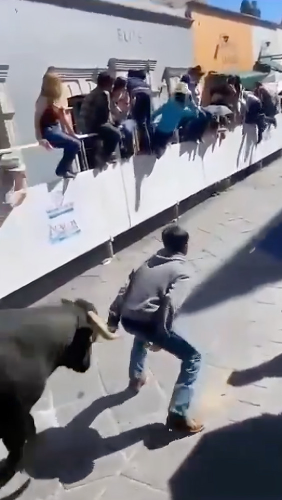 Captan el momento en el que toro embiste a niño