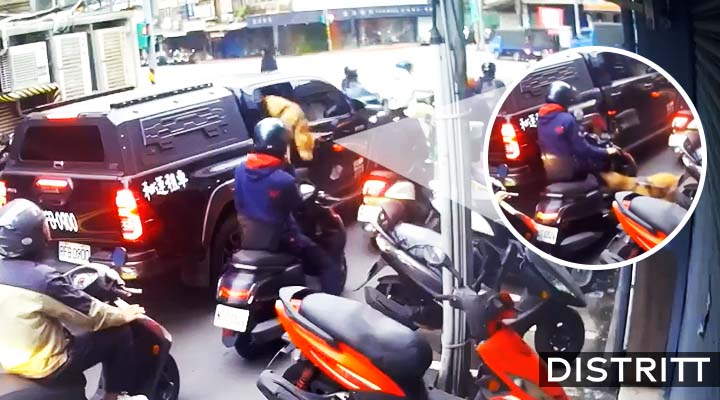 Pitbull salta de camioneta y ataca a motociclista |VIDEO