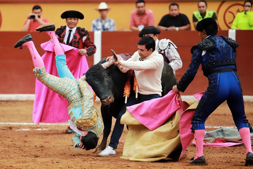 Torero Emilio Macías recibe cornada de toro