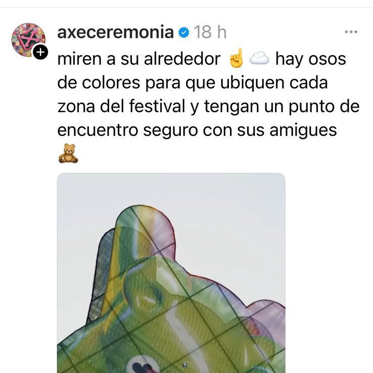Grúa que colapsó en Axe Ceremonia era punto de encuentro