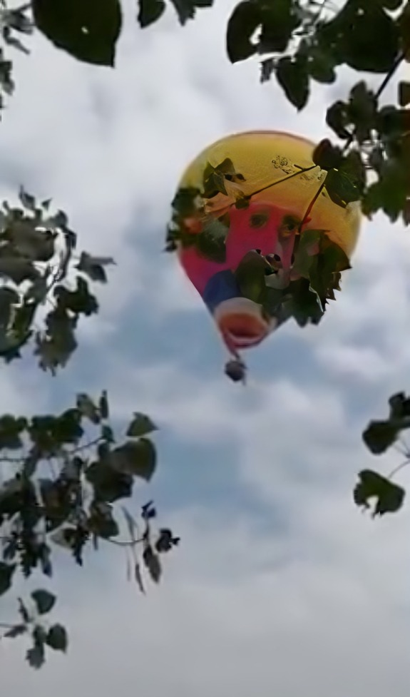 Hombre muere tras enredarse con globo aerostático