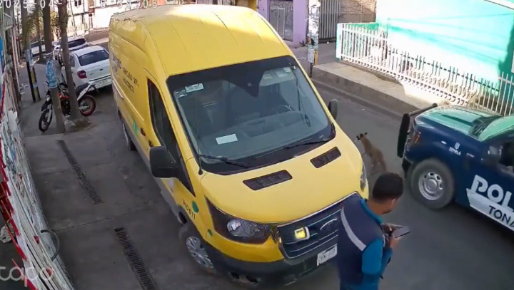 Policías atropellan a perrita y se dan a la fuga