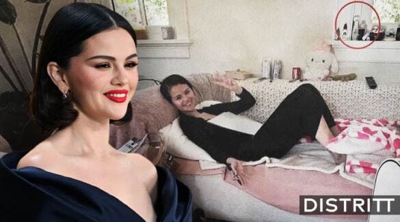 Selena Gomez enseña por error un "picante" artículo |FOTO