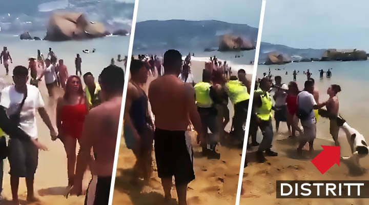 Turistas protagonizan pelea en playa de Acapulco |VIDEO