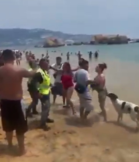 Turistas pelean a la orilla del mar y hasta un lomito se suma