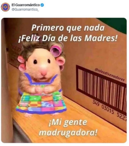 Mejores memes para el dia de las madres