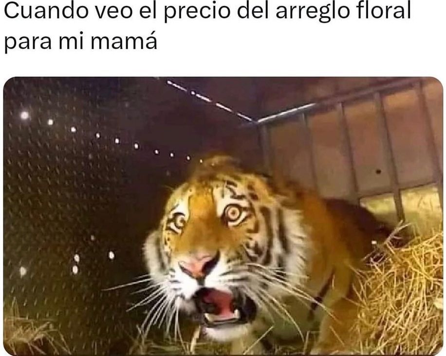 Mejores memes para el dia de las madres
