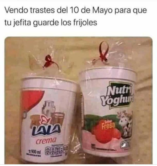 Mejores memes para el dia de las madres