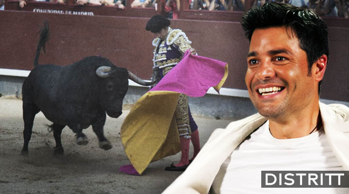 Torero significado