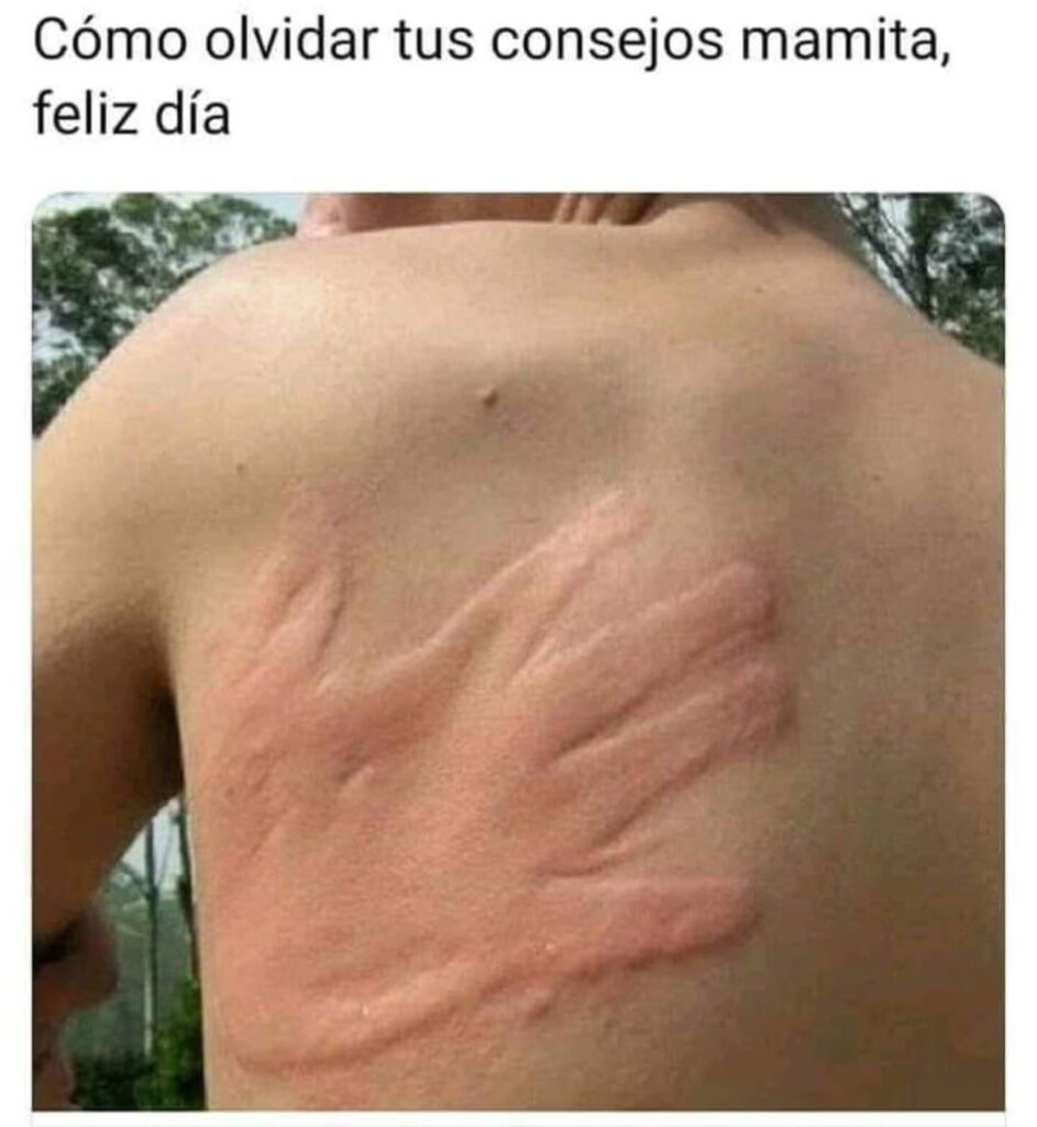 Mejores memes para el dia de las madres