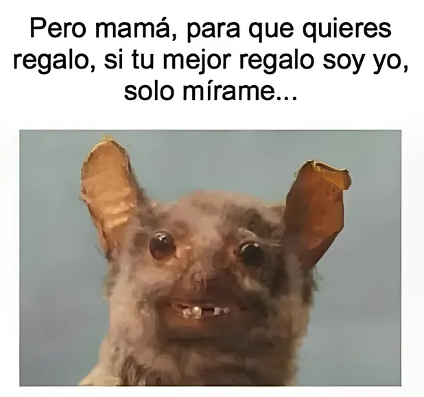 Mejores memes para el dia de las madres