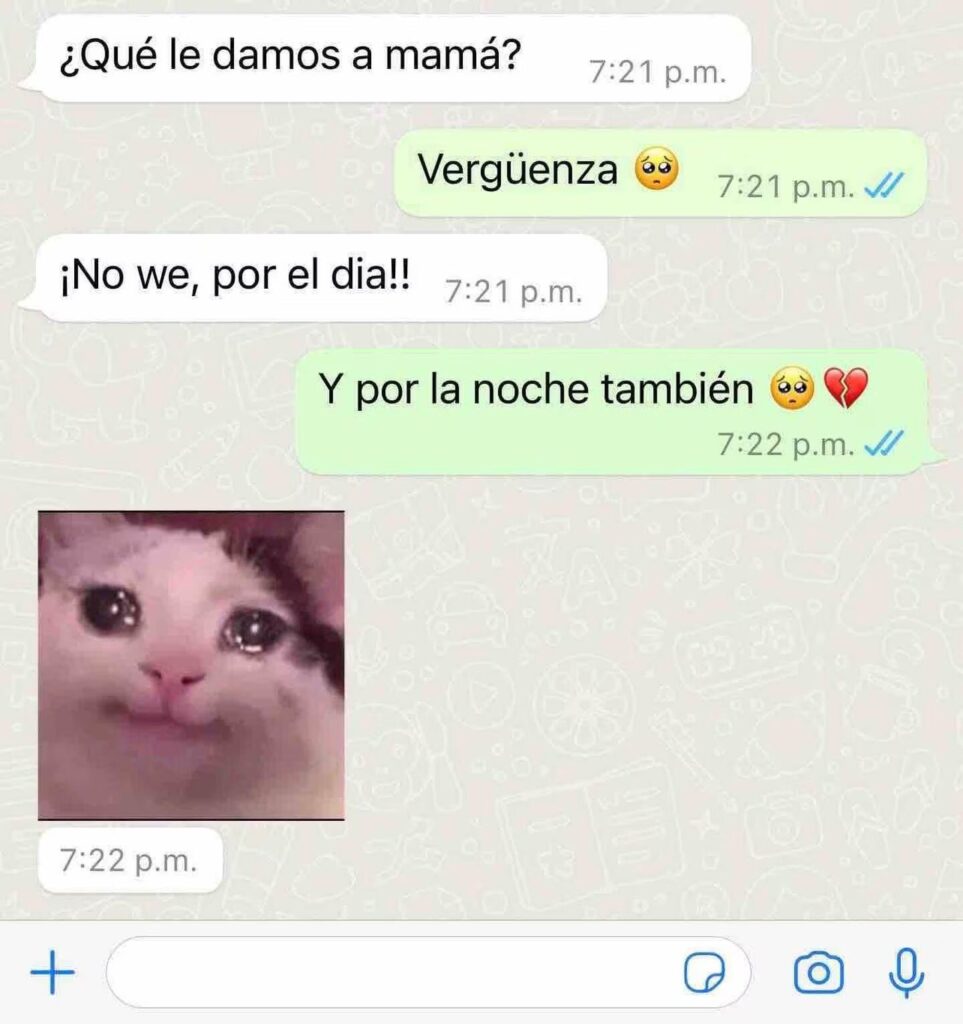 Mejores memes para el dia de las madres