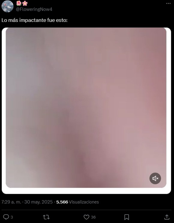 usuarios reaccionan a video de tigreo que atacó a turista