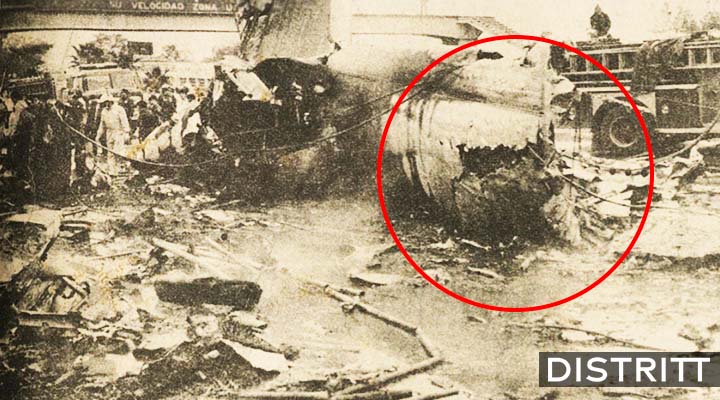 El día que un avión cargado de caballos se desplomó