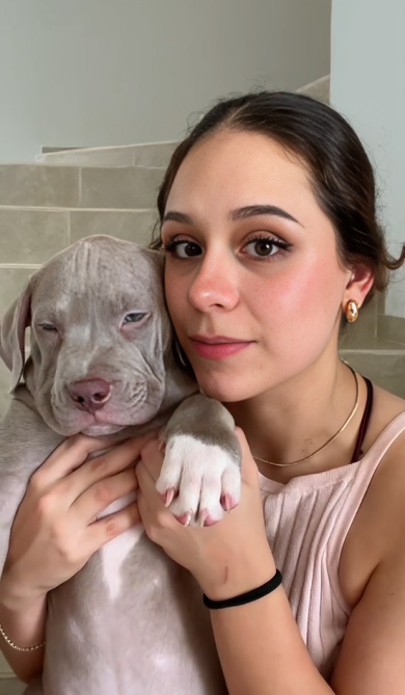 Joven acusa a aerolínea de darle el perro incorrecto