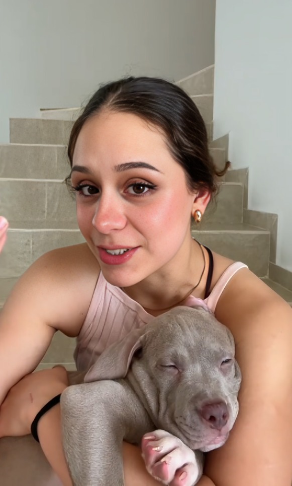 Joven revela que aerolínea intercambió su perrita