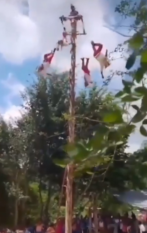 Voladores de Papantla sufren caída