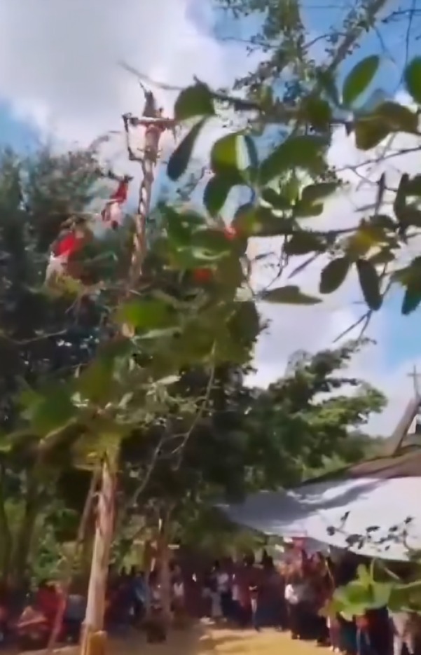 Voladores de Papantla cuál es su estado de salud