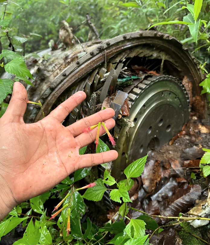 Hallan restos del avión 50 años después