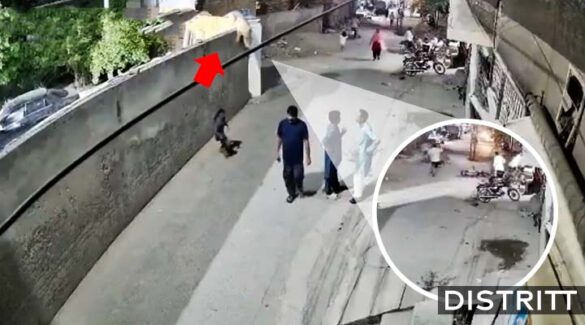 Pakistán. León espaca de casa y ataca a personas |VIDEO