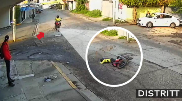 Perrito cruza calle y "atropella" a motociclista |VIDEO