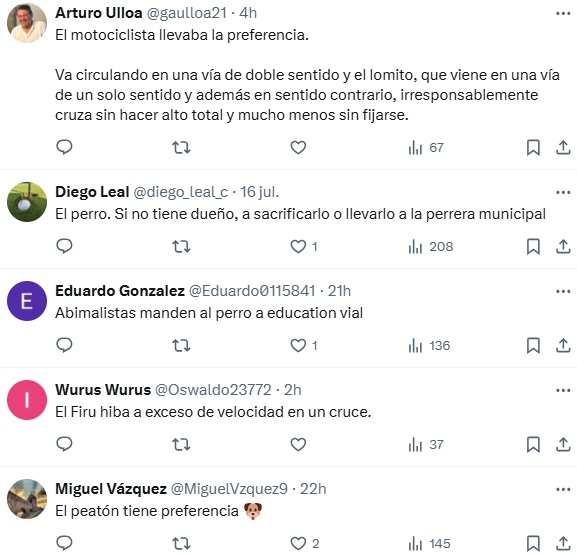 Reacciones sobre perrito que arrolló a motociclista
