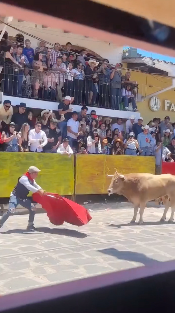 Tlaxcala. Toro embiste a hombre en Huamantlada