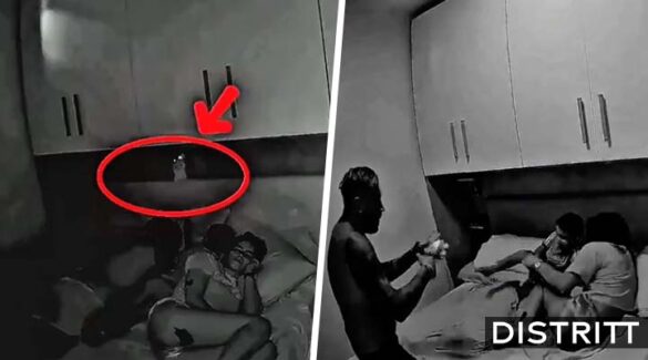 Captan momento en que Labubu intenta atacar a niño