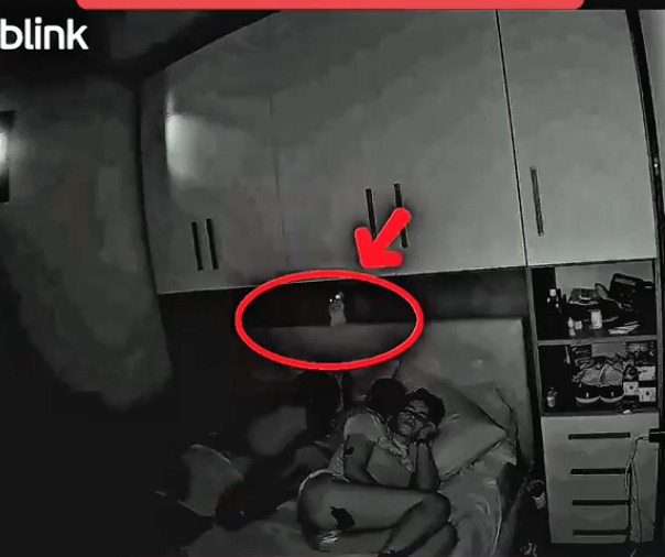 Captan momento en que Labubu intenta atacar a niño