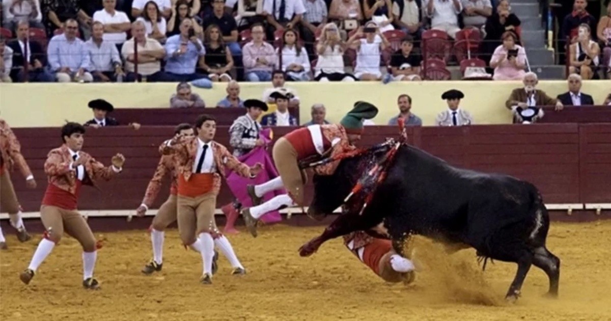 Lisboa. Torero muere tras recibir cornada en corrida