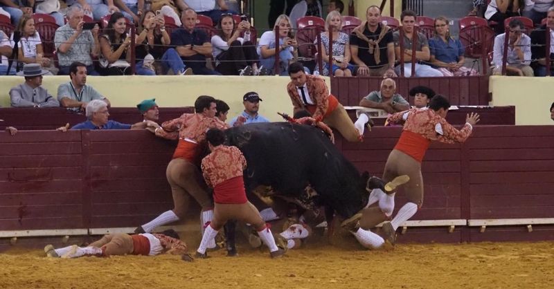 Lisboa. Torero muere tras recibir cornada en corrida
