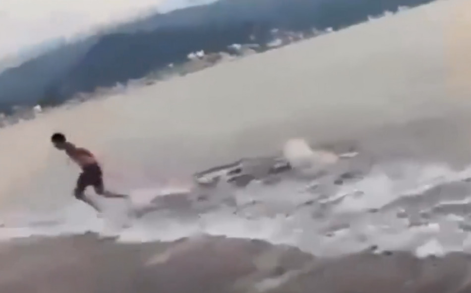 Puerto Vallarta. Cocodrilo ataca a turista en playa