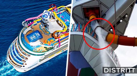 Tobogán de crucero se rompe; pasajero resulta herido