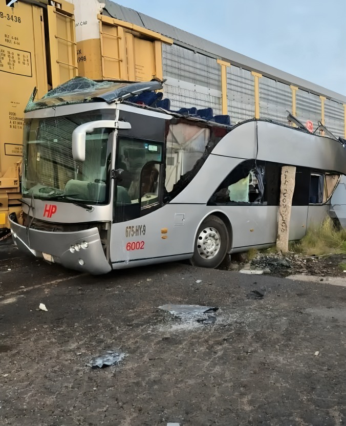 Bus vs. Tren