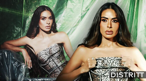 Galilea Montijo divide opiniones por vestido en LCDLF |FOTOS