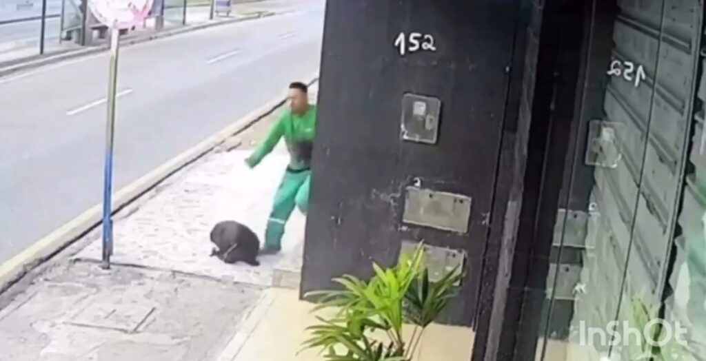 Hombre se salva de ser atropellado en Brasil