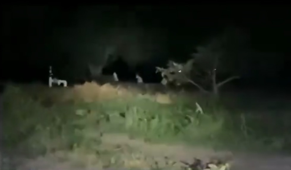 Jóvenes captan a niñas fantasma