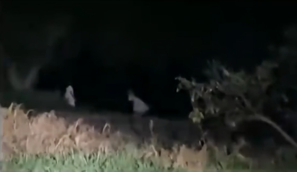 Redes reaccionan a video de niñas fantasma