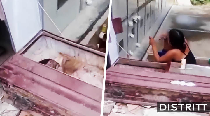 Mujer desentierra a su esposo para platicar y beber con él