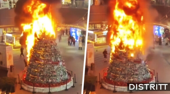 Árbol de Navidad gigante se incendia dentro de plaza
