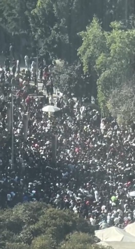 Fans se reúnen para ver al Bogueto