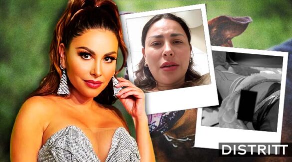 Hospitalizan a conductora Gaby Ramírez tras ser atacada por un perro