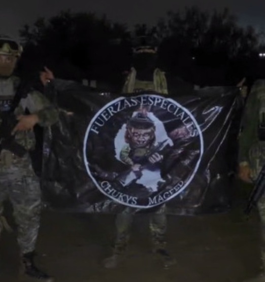 Fuerzas especiales abaten a sicaria del Cartel del Golfo