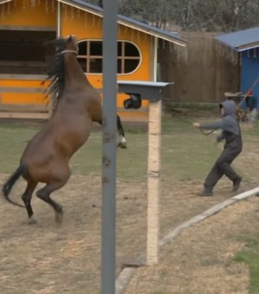 Caballo lastima a Sergio Mayer Mori