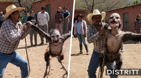Supuesta bruja en plena transformación se hace vial |VIDEO