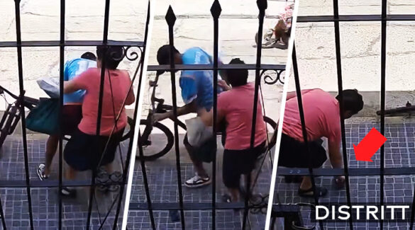 Abuelita somete a ladrón que quería robar su celular |VIDEO