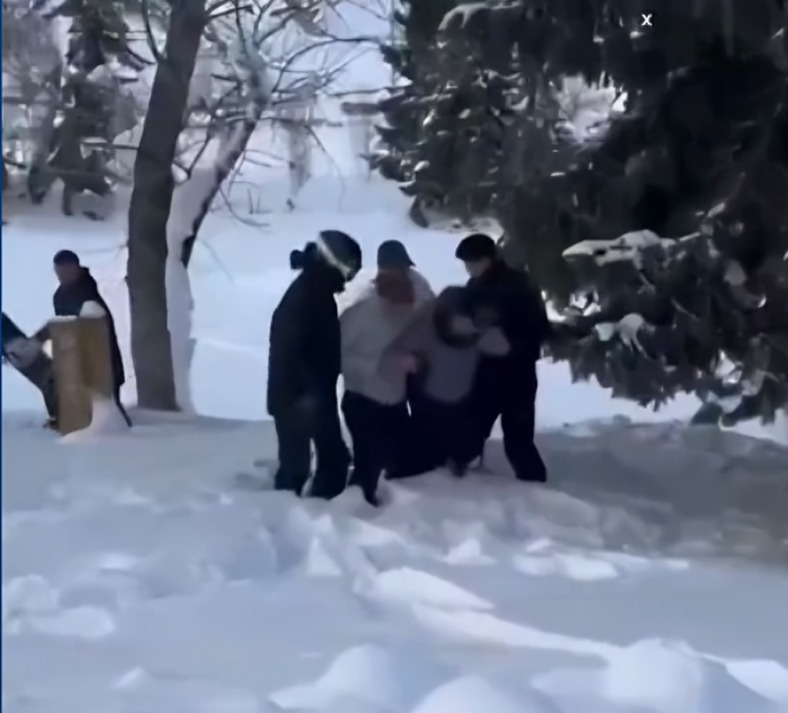 Leopardo de las nieves acata a mujer que quiso tomarle foto