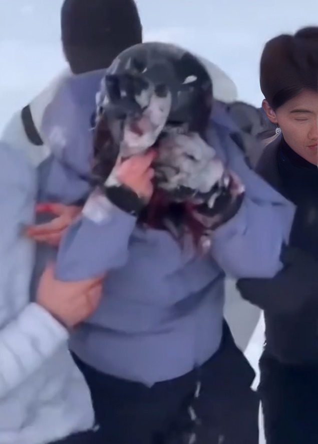 ¿Qué le pasó a mujer tras ataque de leopardo de las nieves?